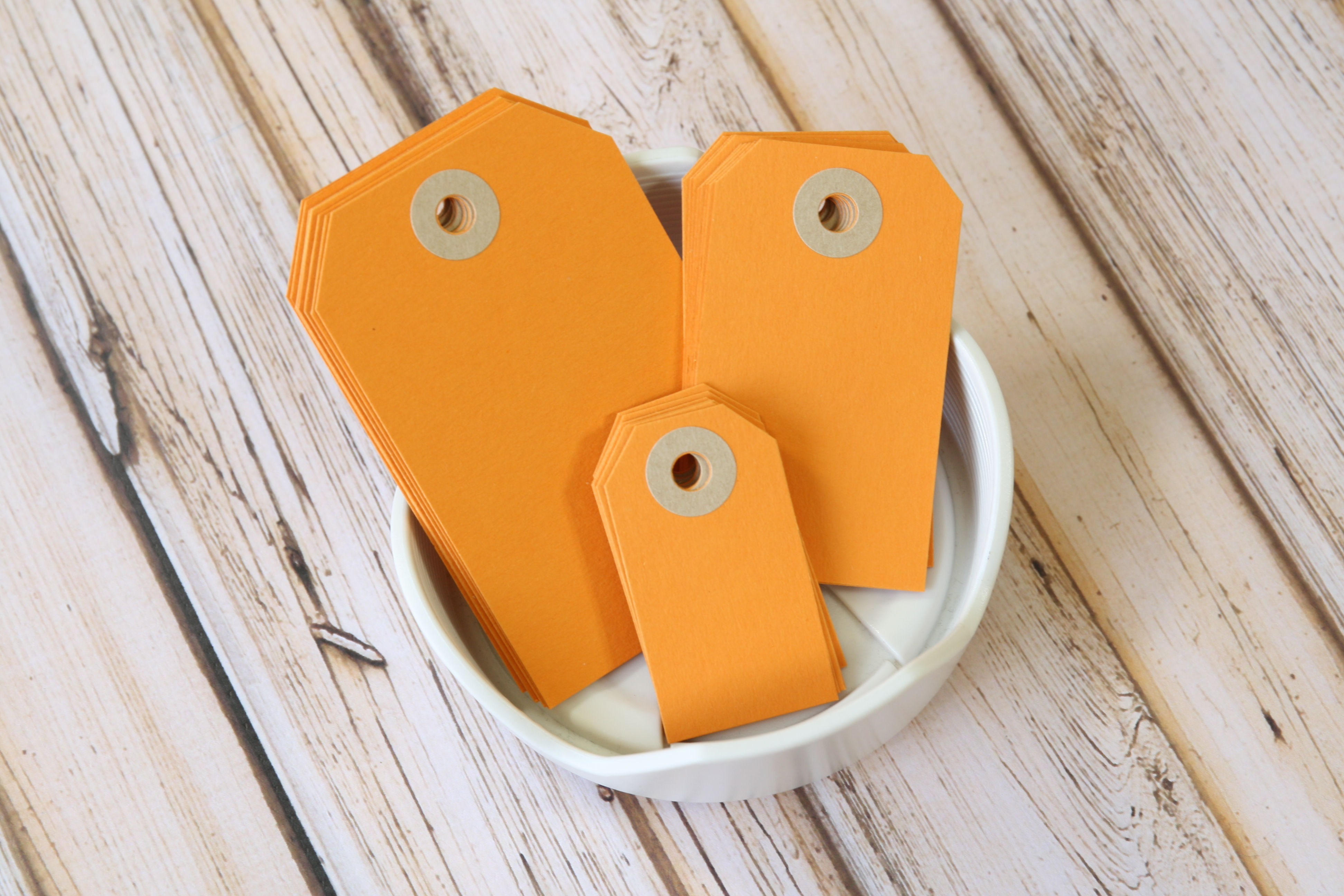 mango orange colorset luggage tags