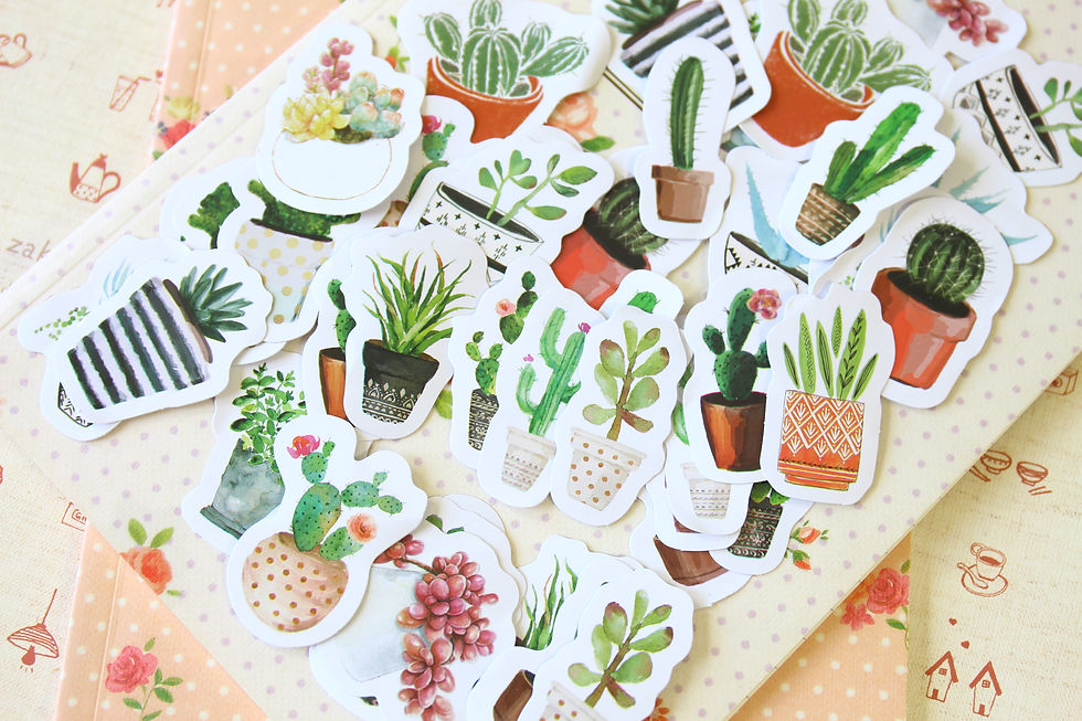 Thumbnail: cactus succulents lifelog cartoon shapes stickers