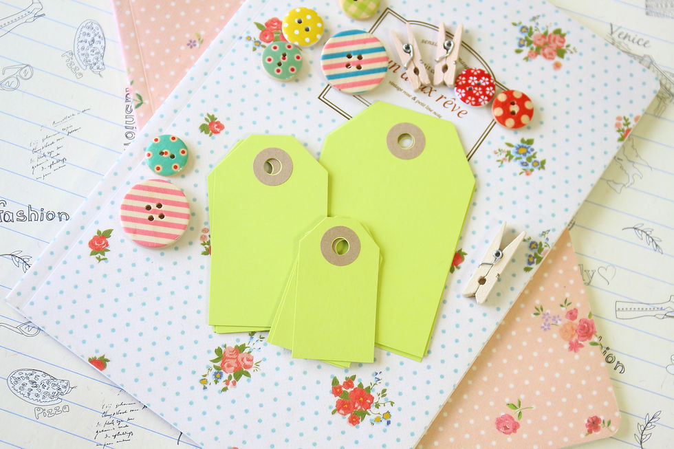 pistachio vintage series luggage tags