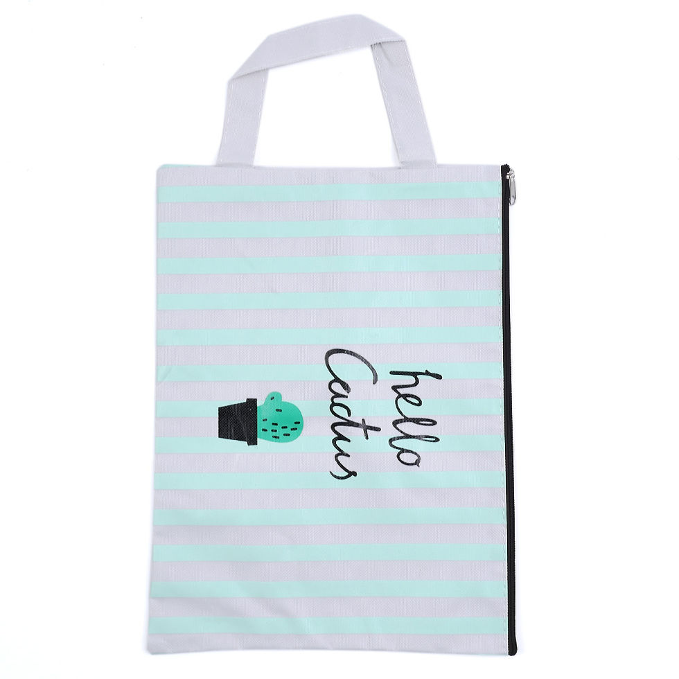 Thumbnail: cactus cartoon file bag