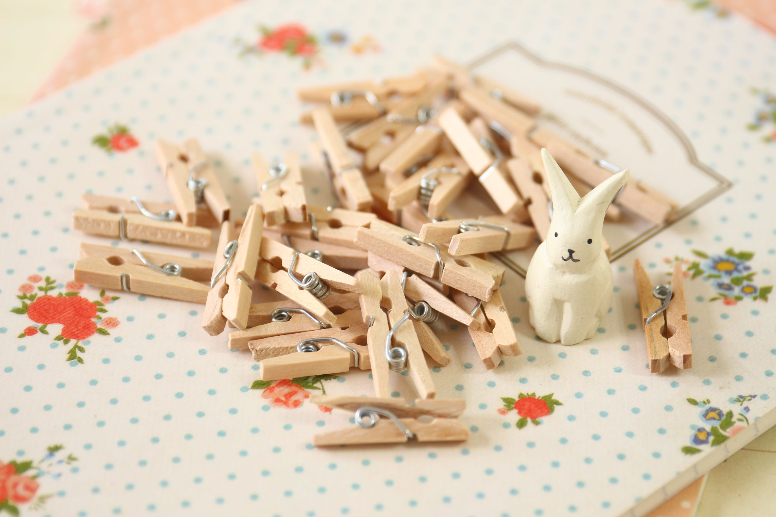 plain natural mini wood pegs clips