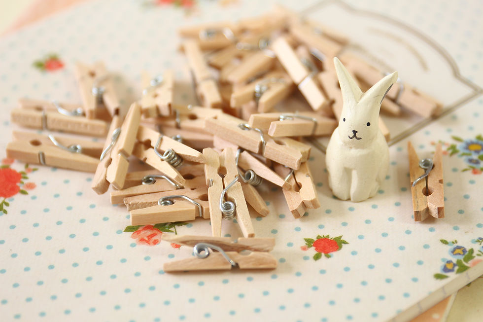 Thumbnail: plain natural mini wood pegs clips