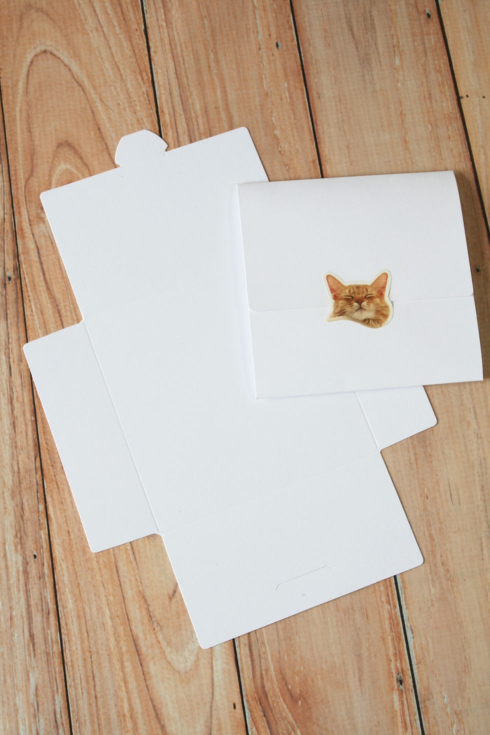 Thumbnail: smooth white no glue cd envelopes