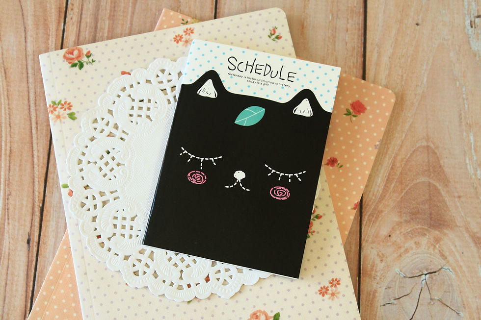Thumbnail: schedule cat cartoon notebook