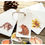 Thumbnail: autumn forest animals mo-card cartoon shapes stickers