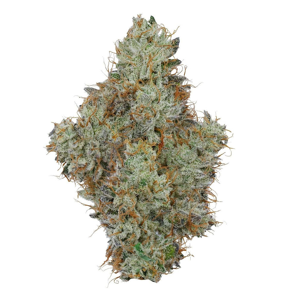 Fig Farms | Animal Runtz | flower | 3.5g