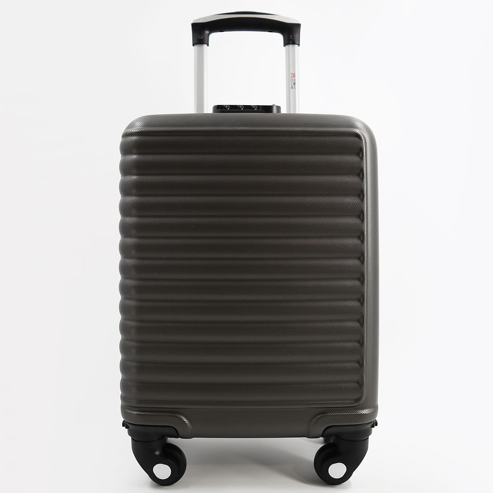 Прев'ю: Ручная кладь  005 LOW-COST