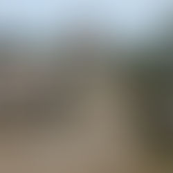 U.N. E-Mail Shows Early Warning of Congo Rapes – The New York Times