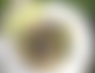 Pâtes aux épinards frais et aux palourdes