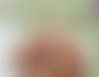 petits biscuits simplissimes à la farine de châtaigne et aux amandes