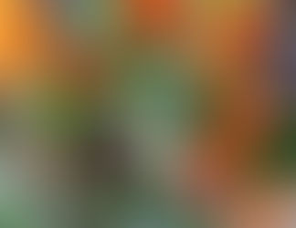 Manger en couleurs c'est beau pour les yeux et bon pour la santé