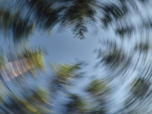 Looking up at trees spining