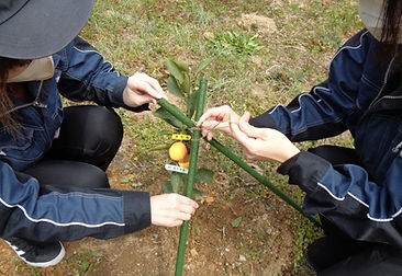 DSC00738_edited.jpg