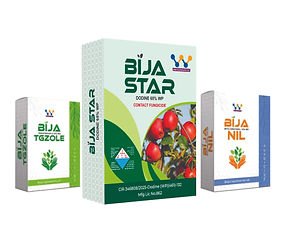 Kuldevi Art_Box Design & Printing.jpg