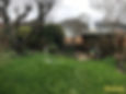Braehead Solutions - Warley Spring 2023