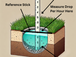 It’s all about the PERCS!!! Perc tests and what you need to know.