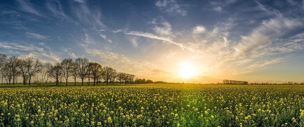 how to Buy lots and land for sale things you should know