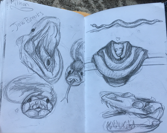 Screen Shot 2020-02-08 at 7.34.34 PM.png