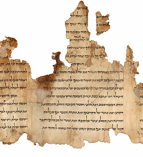 Temple_Scroll.png