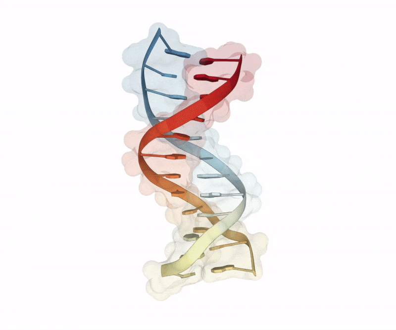 DNA_Orbit_Animated_Clean.gif
