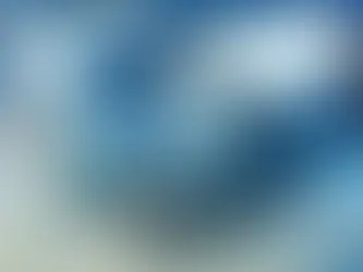 Internationaal contracteren