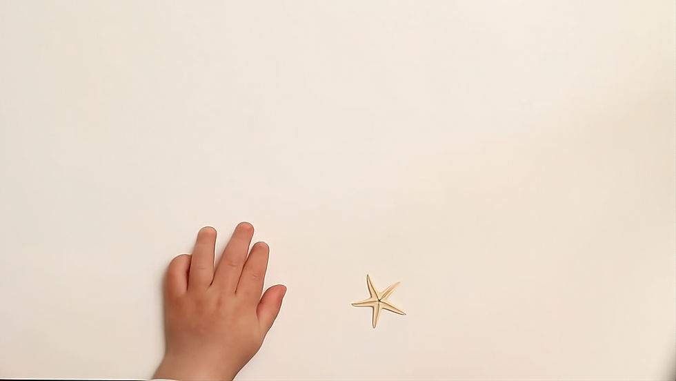 baby_starfish-transformed (1).jpeg