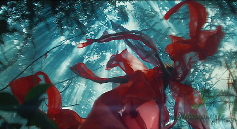 Screen Shot 2020-04-28 at 23.04.59.png