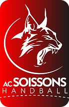 LOGO ACS Handball 2022.png