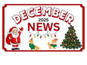 DECEMBER 2025 NEWS