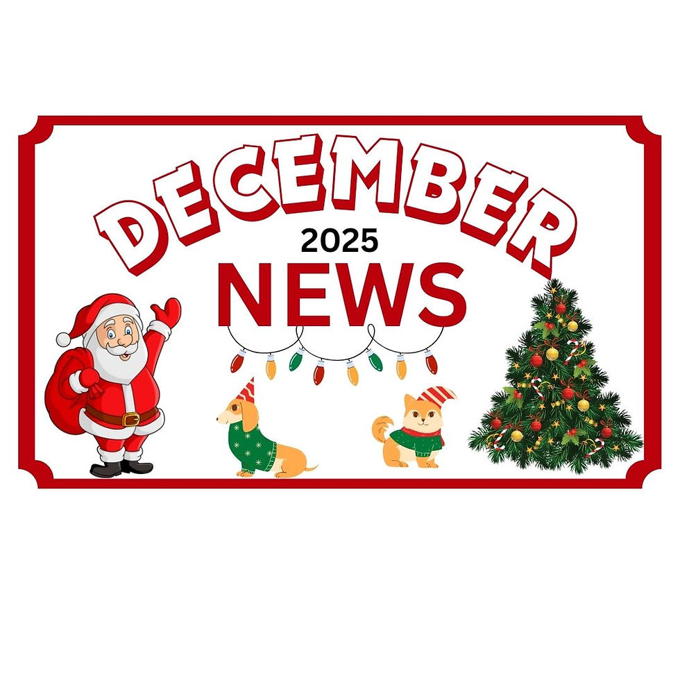 DECEMBER 2025 NEWS