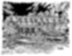 Massachusetts Horticultural Society illustration