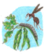 Illustration from Meet Me at the Garden