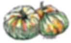 Massachusetts Horticultural Society illustration