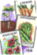 Mass Horticultural Society newsletter