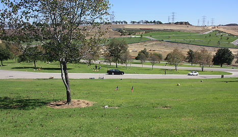 oceanview888.jpg