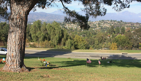 oceanview888.jpg