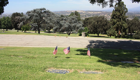 oceanview888.jpg