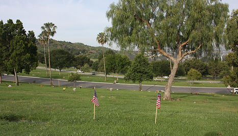 oceanview888.jpg