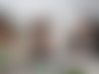 Sete em cada dez Empresas Brasileiras adotam alguma pratica de ESG.