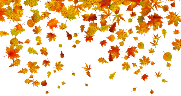 FALL LEAVES2_edited.png