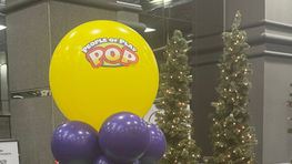 Chicago Toy and Game Fair