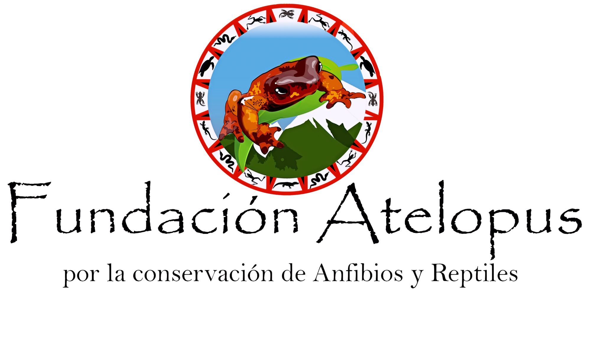 Fundacion Atelopus Ong Para La Conservacion