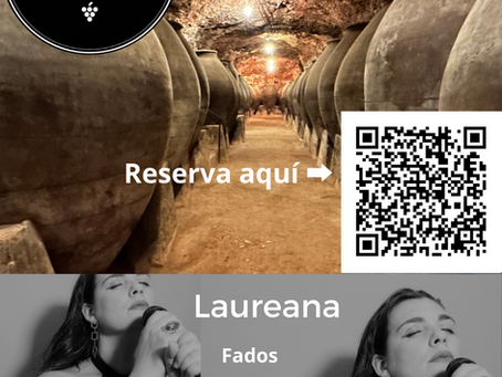 Concierto + Cena "MÚSICAS DEL MUNDO"