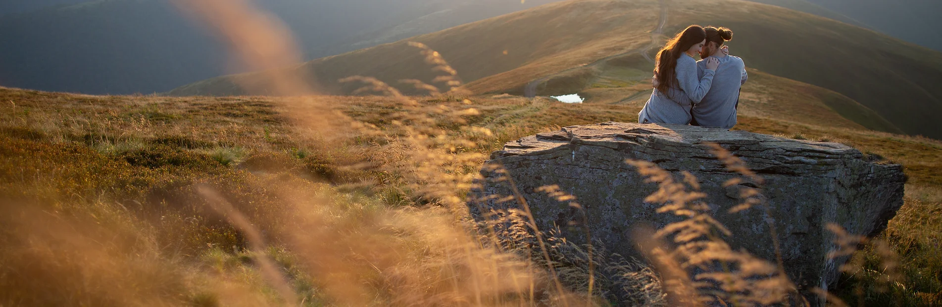 Counseling Saving Throw Services Virginia North Carolina