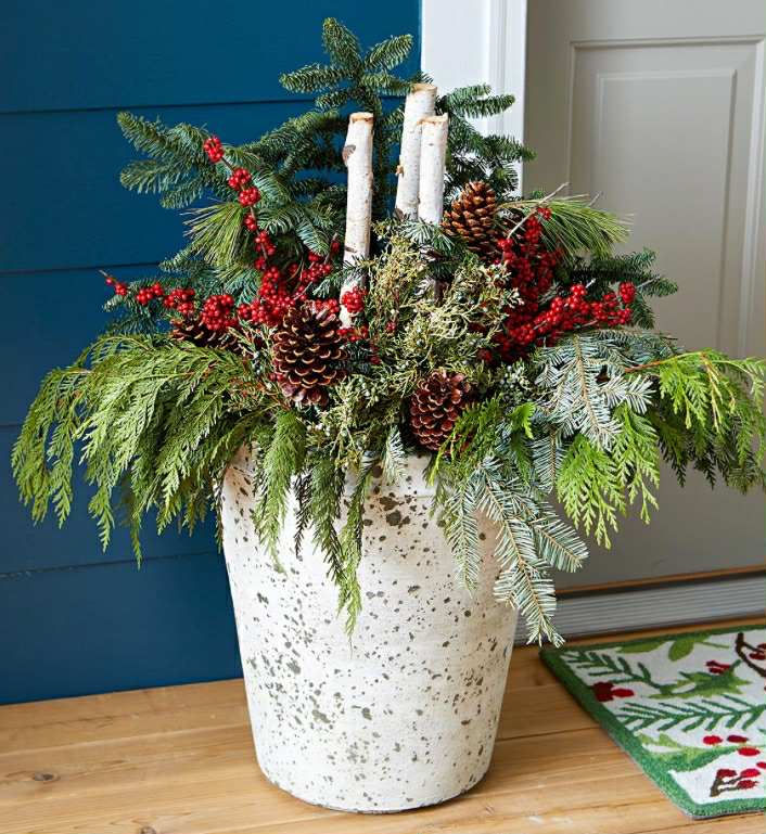 Winter Planters - over 10 inches