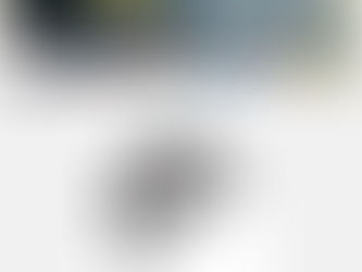 Maratonina Palmanova