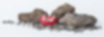 head_legierung-2.jpg
