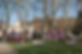 newington_green_alliance_cover.jpeg