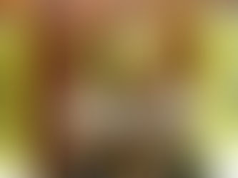 Ceará Sem Fome firma acordo com Fecomércio e Abrasel para fortalecimento de campanha de Natal