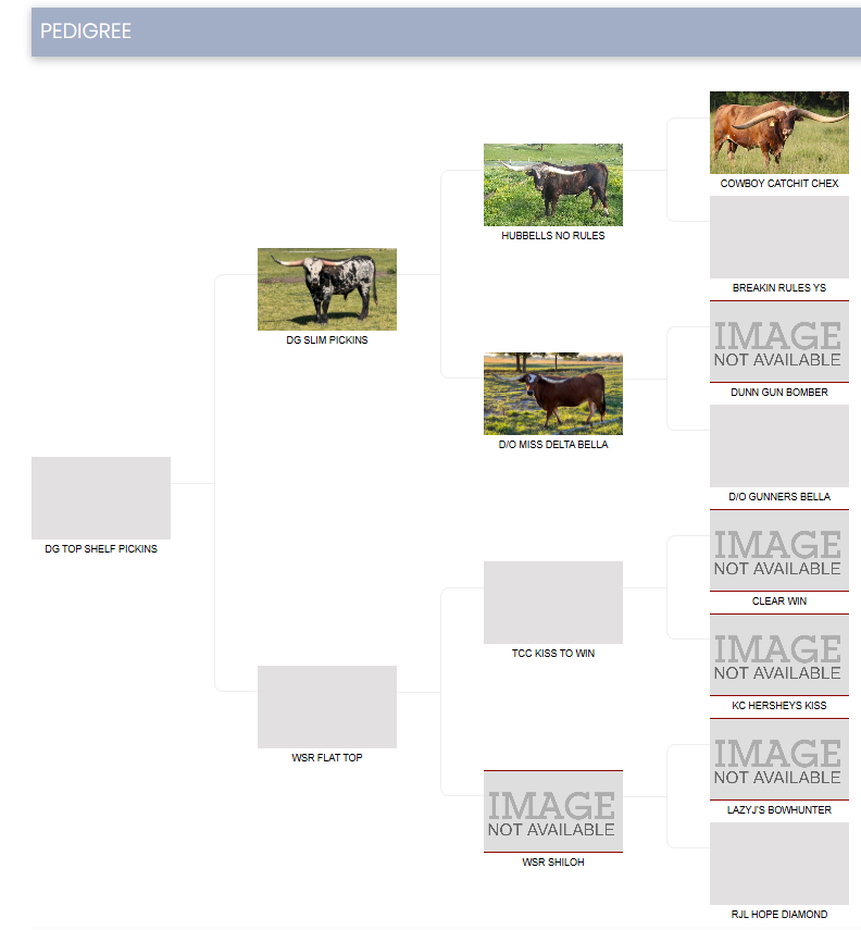 DG TOP SHELF PICKINS PEDIGREE ITLA.png